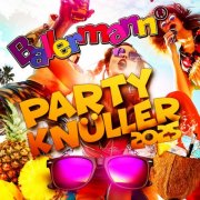 VA - Ballermann Party Knüller 2025 (2025)