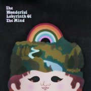 B77 - The Wonderful Labyrinth of the Mind (2020) [Hi-Res]