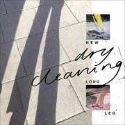 Dry Cleaning - New Long Leg (2021) Hi Res