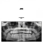 Jack Van Cleaf - JVC (2025)