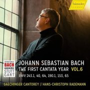 Gaechinger Cantorey - Vision Bach, Vol 6 - The First Cantata Year - Cantatas from the first Christmas day to Epiphany (2024) [Hi-Res]