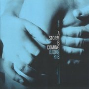 Bjorn Riis - A Storm is Coming (2019) [CD Rip]