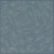 maya ongaku - Nothing Space Music (2026) [Hi-Res]