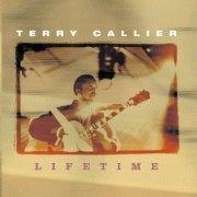 Terry Callier - LifeTime (1999)