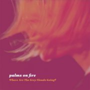 Palms On Fire - Where Are The Grey Clouds Going? (2016)