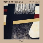 VA - Depth Impressions Issue 30 (2025)