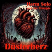 Herm Solo and the Prompts - Düsterherz (2024) [Hi-Res]