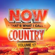 VA - NOW That's What I Call Country! Vol. 17 (2024)