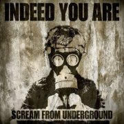 Indeed You Are - Scream from Underground (2024)