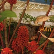 Hail - Hello Debris (2006)