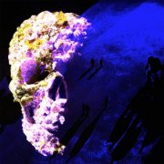 Irrelevant - Dead Relatives (2025)