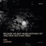 Ion Ludwig - Because We Ain’t Heard Nothing yet and Have Not Even Tried (2026)