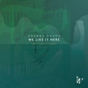 Snarky Puppy - We Like It Here (Remixed + Remastered + Reimagined) (2024) [Hi-Res]