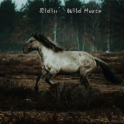 Canyon Vice - Ridin’ Wild Horse (2025) [Hi-Res]