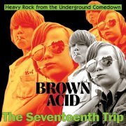 Various Artists - Brown Acid "The Seventeenth Trip" (2023) [Hi-Res]