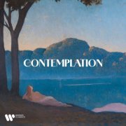VA - Contemplation (2025)