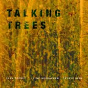Olav Torget - Talking Trees (2025) Hi-Res