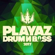 VA - Playaz Drum & Bass 2017 (2018) flac