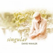 David Wahler - Singular (2024)