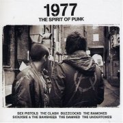 Various Artists - 1977 - The Spirit of Punk (2007)