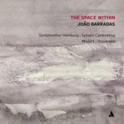 João Barradas - The Space Within (2026) Hi-Res