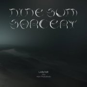 LABOUR feat. Hani Mojtahedy - nine-sum sorcery (2020)