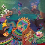 Minuscule - If Not Now (2026) [Hi-Res]