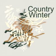 VA - Country Winter (2024)