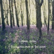 Virginia Astley - From Gardens Where We Feel Secure (1983/2021)