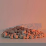 Coline Cornélis - reeds ⧸ dielman ⧸ beets (2026)