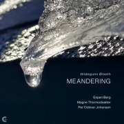 Hildegunn Øiseth - Meandering (2026) [Hi-Res]