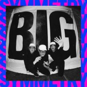 Pet Symmetry - Big Symmetry (2025)