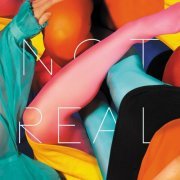 Stealing Sheep - Not Real (2015)