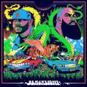 Apollo Brown, Stalley - Blacklight (2021)