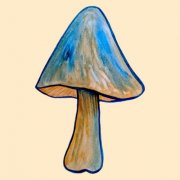 Handpan Joe & Harvey Semple - Never Really Know (2026)
