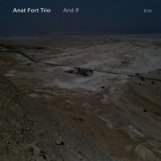 Anat Fort Trio - And If (2010)