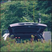 Eiko Ishibashi & Jim O'Rourke - Pareidolia (2025) [Hi-Res]