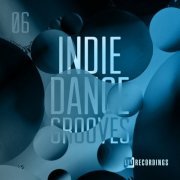 VA - Indie Dance Grooves, Vol. 06 (2022)