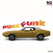 Ace Library & Julien Auclair - Pure Funk (2025) [Hi-Res]