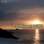 Cocktail Meets Lounge (2013)