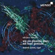 Dominik Susteck - Adriana Hölszky: Wie ein gläsernes Meer, mit Feuer gemischt (2015)