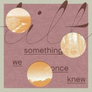 Tilt - something we once knew (2024)