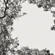 Anèdone - Several Shades of Love (2026)