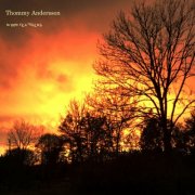 Thommy Andersson - Wood Feathers (2025)