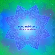 Diane Arkenstone - Soul Nektar 2 (2015)