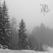 Tanvald - Nemofilista (2025) Hi-Res