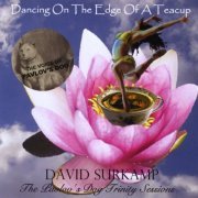 David Surkamp - Dancing On The Edge Of A Teacup (2007) FLAC