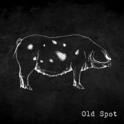 Old Spot - Old Spot II (2026) [Hi-Res]