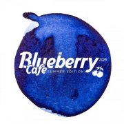 VA - Blueberry Cafe 2026 (Summer Edition) (2026)