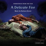 Erin Helyard & Simon Martyn-Ellis - A Delicate Fire (Soundtrack from the Film) (2020) [Hi-Res]